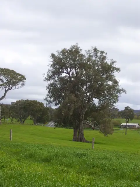 Fifth view of Homely land listing, Lot 35 Mount Torrens to Tungkillo Road, Tungkillo SA 5236