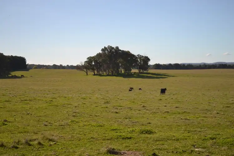 Third view of Homely rural property listing, Lot 74 Craven Rd, Rosewood NSW 2652