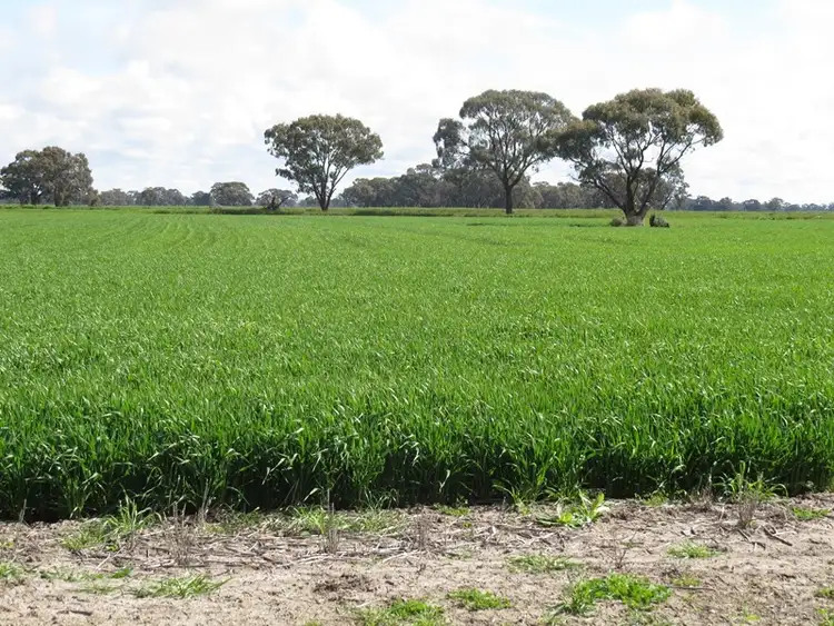 Sixth view of Homely rural property listing, 7498 Wakool Road, Barham NSW 2732