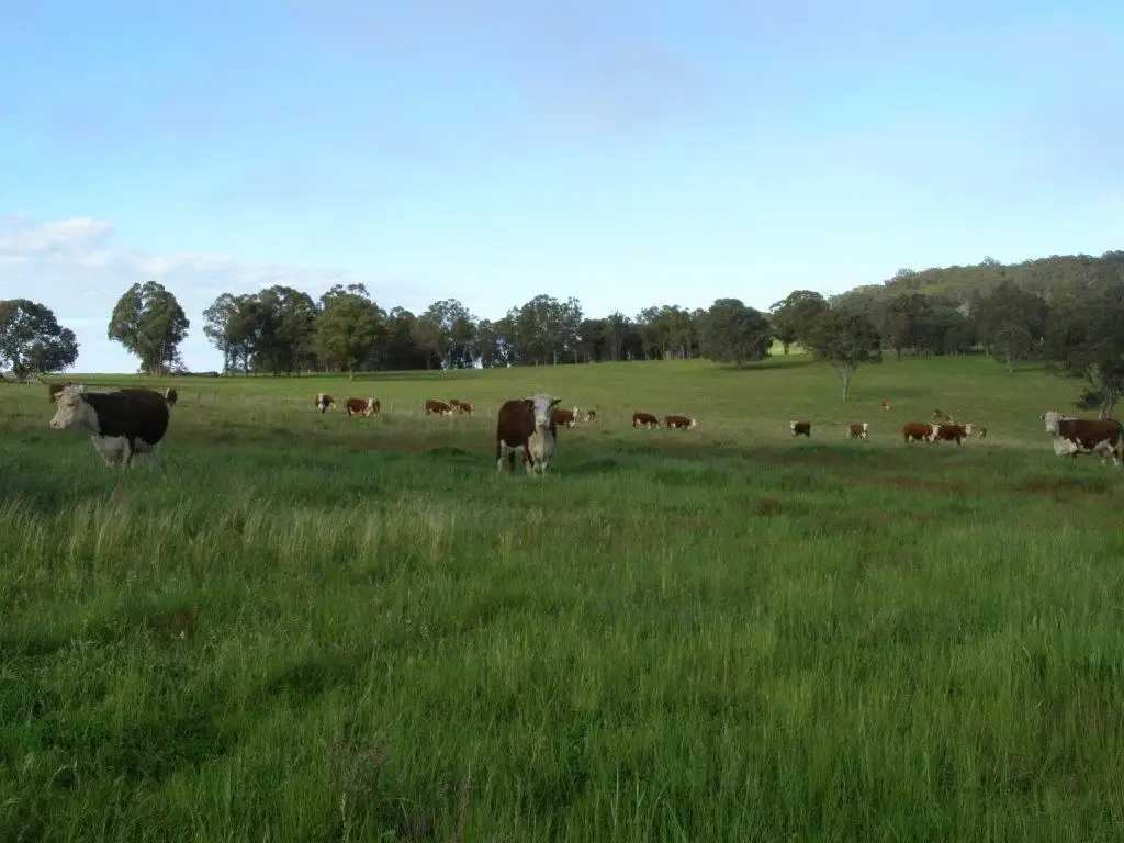 Main view of Homely rural property listing, Address available on request