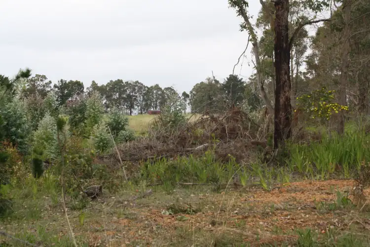Seventh view of Homely rural property listing, Lot 460 South Western Highway, Manjimup WA 6258