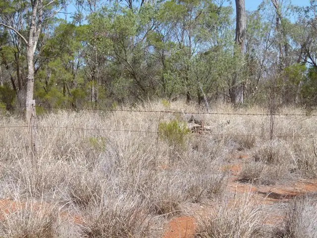 Third view of Homely rural property listing, 10 Daymar Rd, Thallon QLD 4497