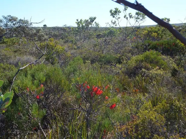 Second view of Homely land listing, 5 Whale Bay Drive, Hopetoun WA 6348