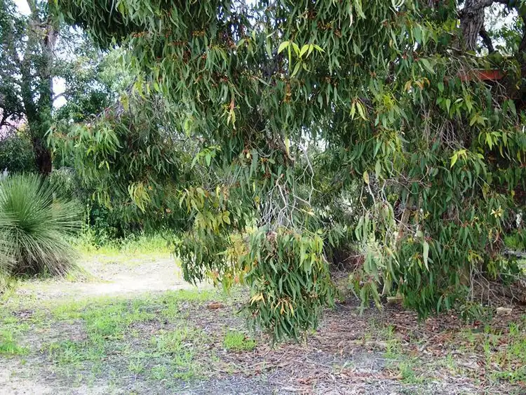 Second view of Homely land listing, 28 (Lot 325) Galley Ramble, Dunsborough WA 6281
