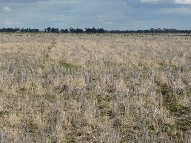 Seventh view of Homely rural property listing, | Noongaburra-Yarrawah Irrigation, Hay NSW 2711