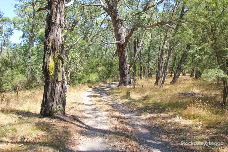 Main view of Homely rural property listing, 80 Buffalo North Road, Buffalo VIC 3958