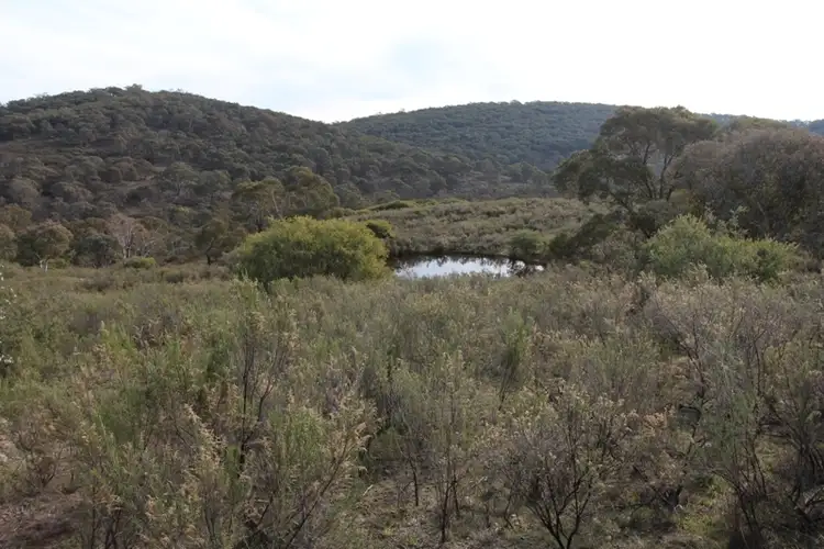 Sixth view of Homely rural property listing, 205 Wylchris Lane, Mount Rankin NSW 2795