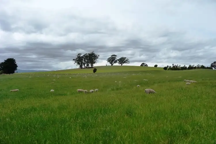 Seventh view of Homely rural property listing, 171 Egerton Road, White Hills TAS 7258