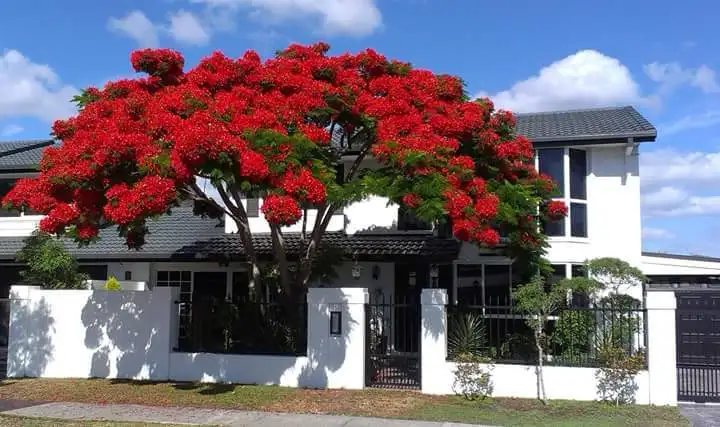 Main view of Homely house listing, 2/2 Rosalind Avenue, Paradise Point QLD 4216