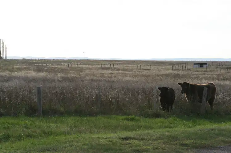 Sixth view of Homely rural property listing, 672-762 Mount Cottrell Road, Mount Cottrell VIC 3024