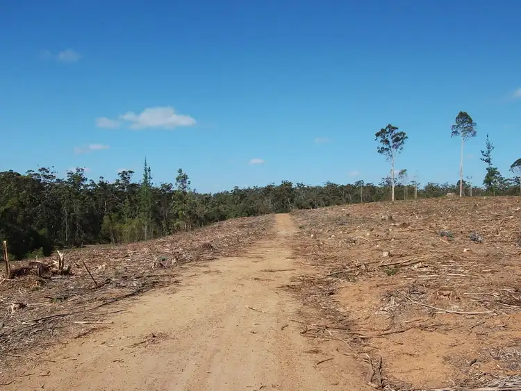 Sixth view of Homely rural property listing, Lot 4335 Wheatley Coast Road, Manjimup WA 6258