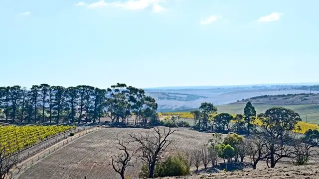 Third view of Homely rural property listing, 53 Madden Road, Bannockburn VIC 3331