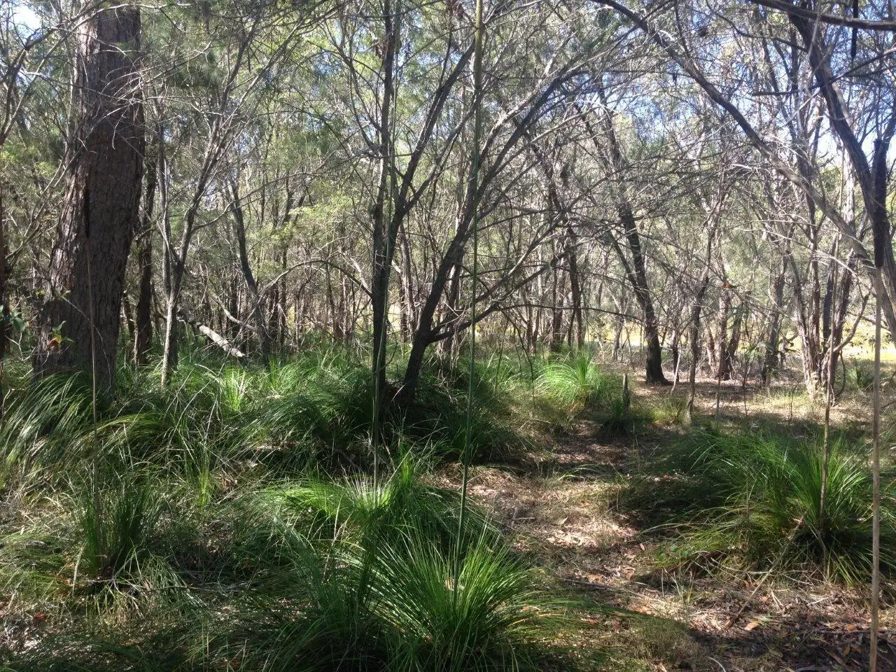 Main view of Homely land listing, Lot 382 Whyte Cres, Agnes Water QLD 4677