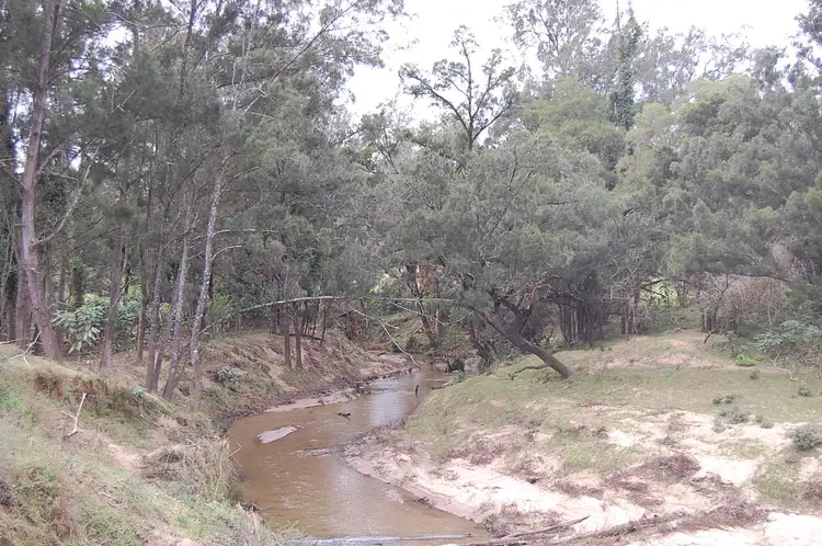 Fifth view of Homely rural property listing, 544 Duck Creek Road, Old Bonalbo NSW 2469