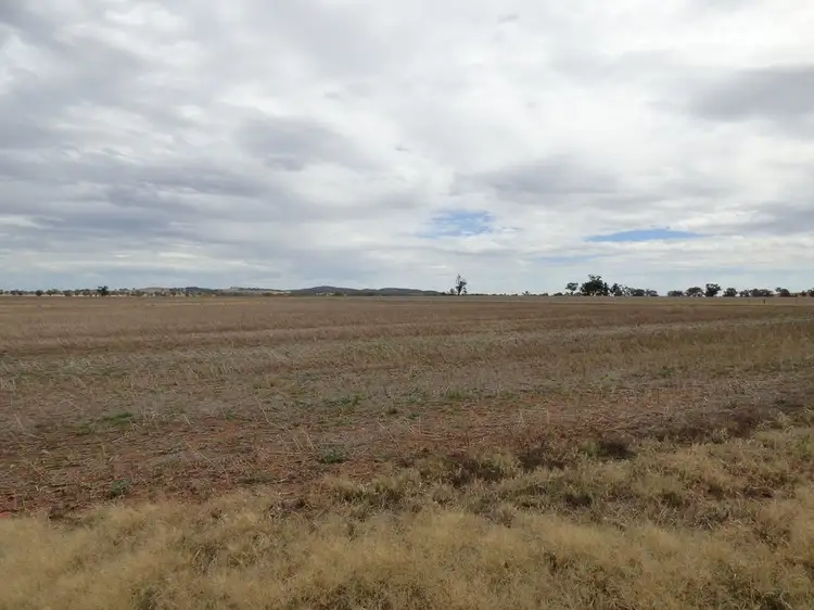 Seventh view of Homely rural property listing, 1075 Weedallion, Bribbaree NSW 2594