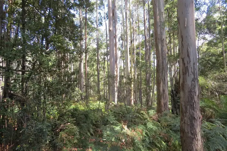 Sixth view of Homely land listing, Lot 1 Lorinna Road, Lorinna TAS 7306