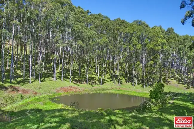 Fifth view of Homely rural property listing, 86 Foresters Way, Tintenbar NSW 2478