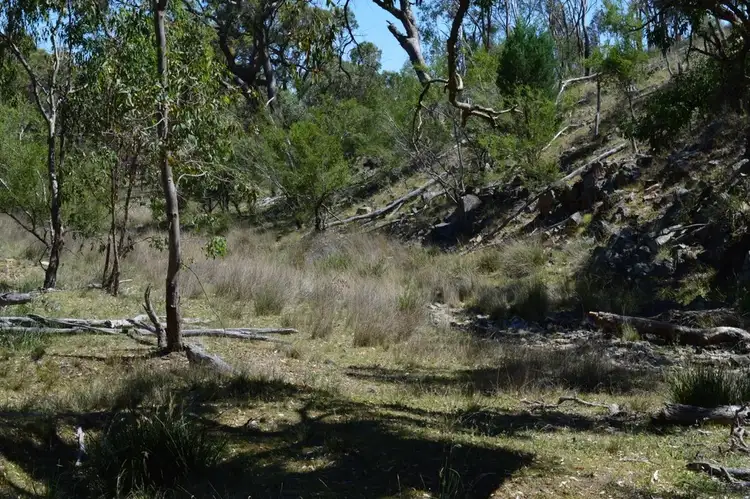 Seventh view of Homely rural property listing, Lot 58 Rockdale Road, Karara QLD 4352