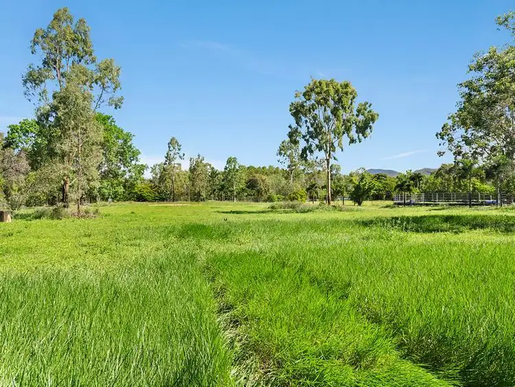 Third view of Homely land listing, 364 Forestry Road, Bluewater Park QLD 4818
