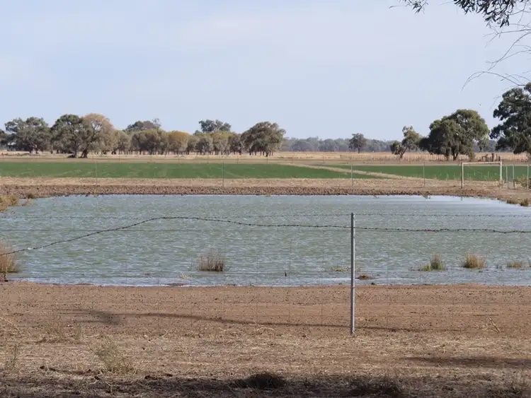 Sixth view of Homely rural property listing, "Bungaree" Flanagans Lane, Deniliquin NSW 2710