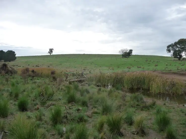 Seventh view of Homely rural property listing, 10 MacPhersons Lane, Cape Clear VIC 3351