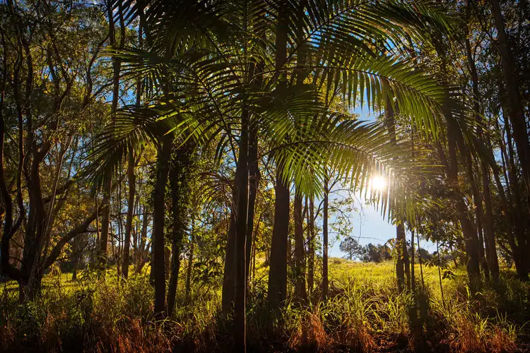 Fourth view of Homely land listing, 6/56 Kentish Road, Kiels Mountain QLD 4559