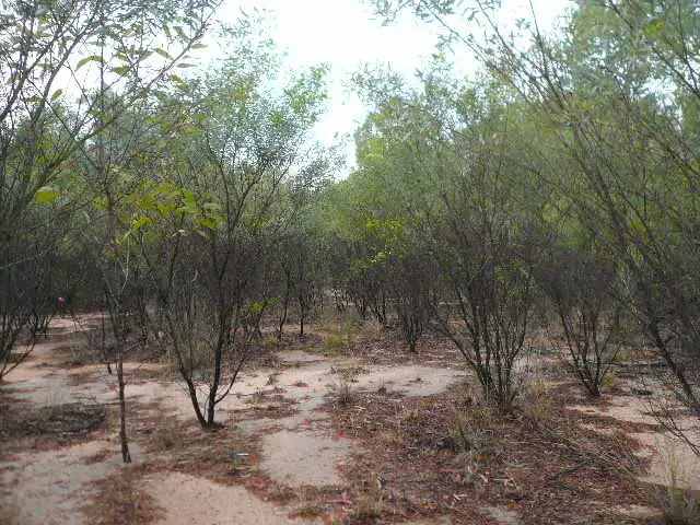 Second view of Homely rural property listing, 167 LUCKY ROAD, Tara QLD 4421