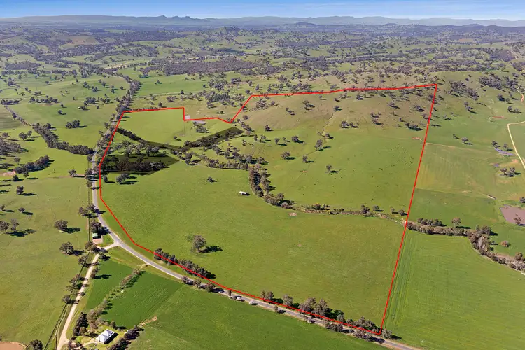 1181 Bungowannah Road, Bungowannah NSW 2640