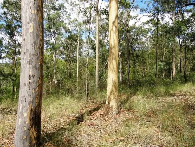 Fifth view of Homely rural property listing, 2541 Gwydir Highway, Ramornie NSW 2460
