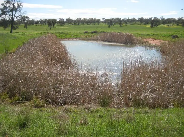 Sixth view of Homely rural property listing, Farms 86F, 86G, 86H & 86I Hulong Road, Whitton NSW 2705