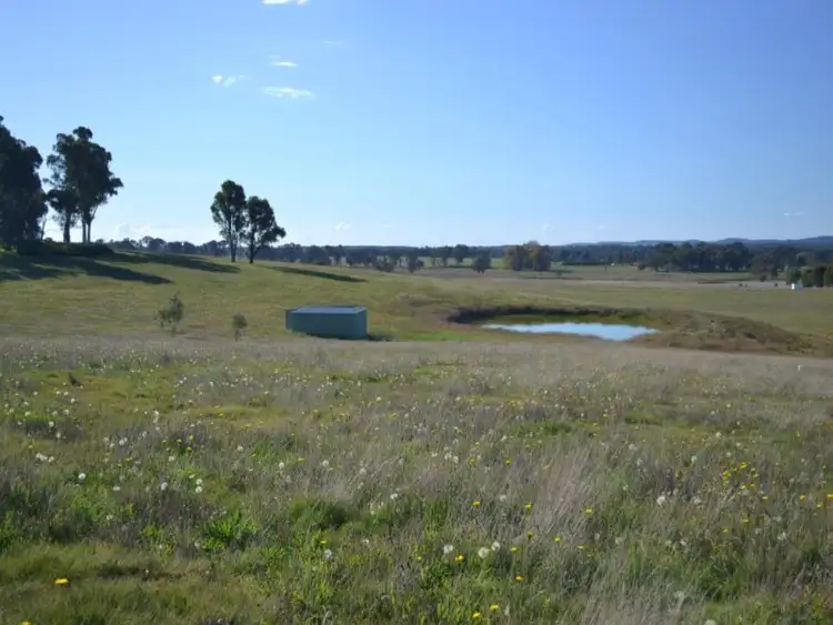 Third view of Homely rural property listing, Lot 99 Coppabella Road, Rosewood NSW 2652