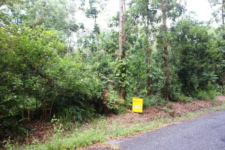 Second view of Homely land listing, 75 Forest Creek Road FOREST CREEK, Daintree QLD 4873