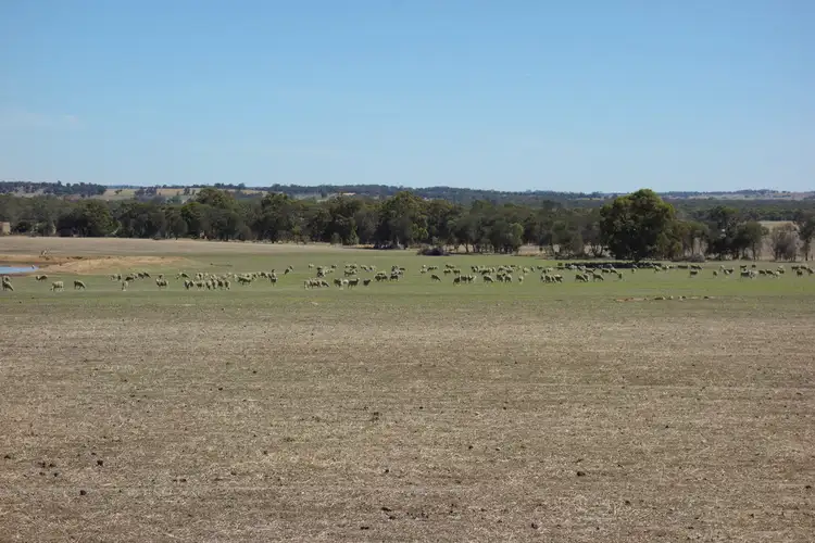 Seventh view of Homely rural property listing, Lot 4 Noble Road, Arthur River WA 6315