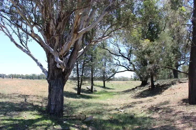 Sixth view of Homely rural property listing, 62R Durraween Lane, Dubbo NSW 2830