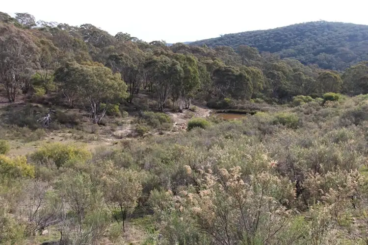 Third view of Homely rural property listing, 205 Wylchris Lane, Mount Rankin NSW 2795