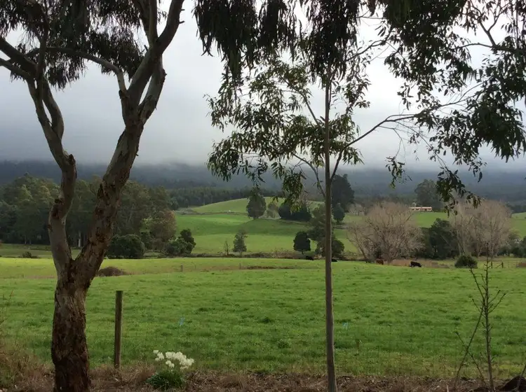 Second view of Homely rural property listing, 1139 Ten Mile Track, Springfield TAS 7260