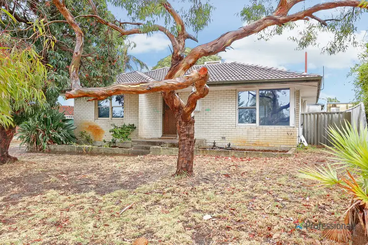 Main view of Homely house listing, 31 Templeton Cres, Girrawheen WA 6064