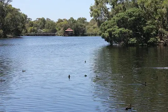 Main view of Homely house listing, 5 Wheatley Place, Kewdale WA 6105