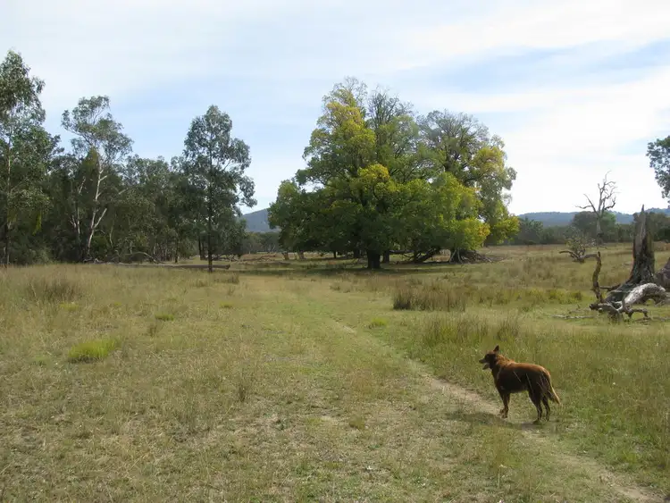 Sixth view of Homely rural property listing, 2093 Bundarra Road, Armidale NSW 2350
