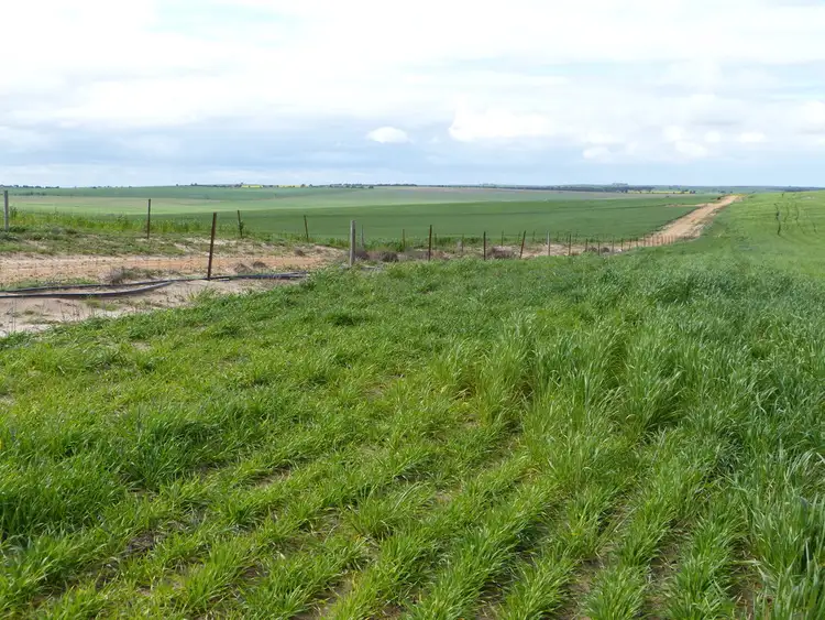 Fifth view of Homely rural property listing, Lot 50 Karoonda Highway, Wynarka SA 5306