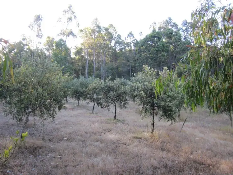 Seventh view of Homely rural property listing, 712 Deeside Coast Road, Manjimup WA 6258