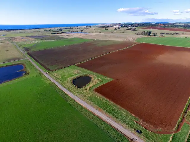 Seventh view of Homely rural property listing, 353 Port Sorell Road, Wesley Vale TAS 7307