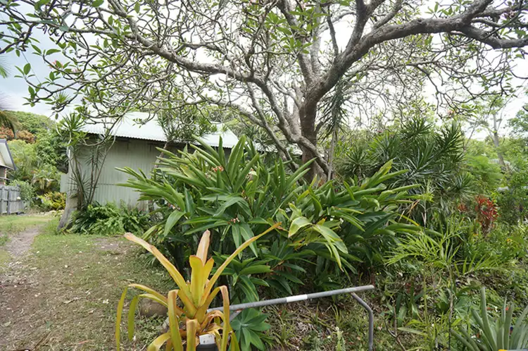 Fourth view of Homely house listing, 25 Wall Street, Eimeo QLD 4740