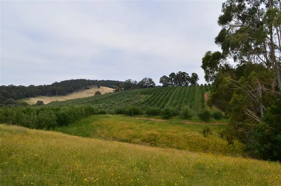 Main view of Homely rural property listing, 00 'Muttaroo' Mines Road, Batlow NSW 2730