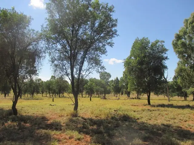 Sixth view of Homely land listing, Lot 58 Homebush Lane, Mitchell QLD 4465