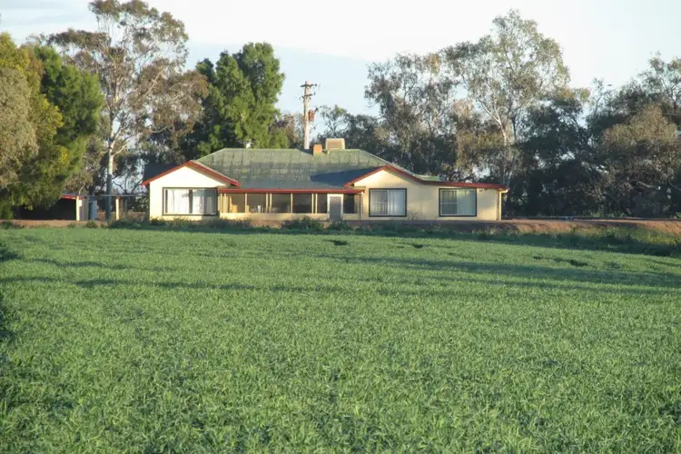 Third view of Homely rural property listing, "Vieta" Taringa Lane, Edgeroi NSW 2390