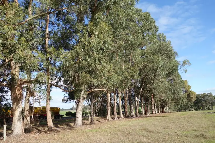 Seventh view of Homely rural property listing, Lot 309 Bussell Highway, Cowaramup WA 6284