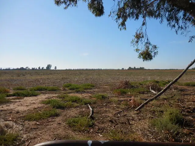 Seventh view of Homely rural property listing, Farm 263 Bilbul Road, Beelbangera NSW 2680