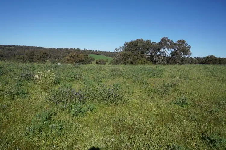Second view of Homely land listing, 38 MEYER CLOSE, Chittering WA 6084