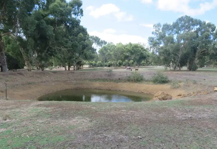 Third view of Homely rural property listing, 395 Lion Street, Sawyers Valley WA 6074